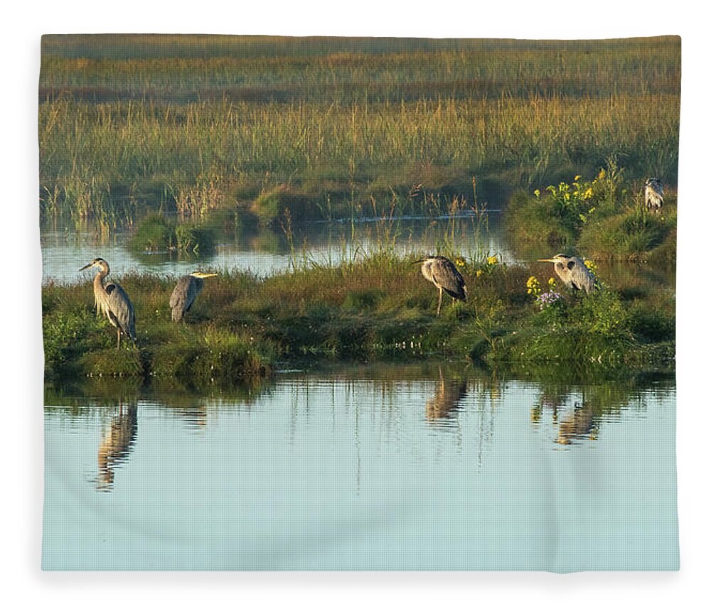 Blue Fleece Blanket featuring the photograph Morning Herons by Douglas Wielfaert