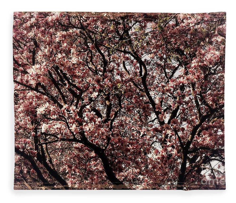 Midwest Fleece Blanket featuring the photograph Morning Light Magnolia - Border by Frank J Casella