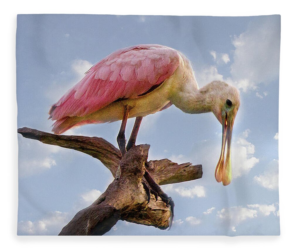 Spoonbill Fleece Blanket featuring the photograph Morning Pinks in Blue by Debra and Dave Vanderlaan