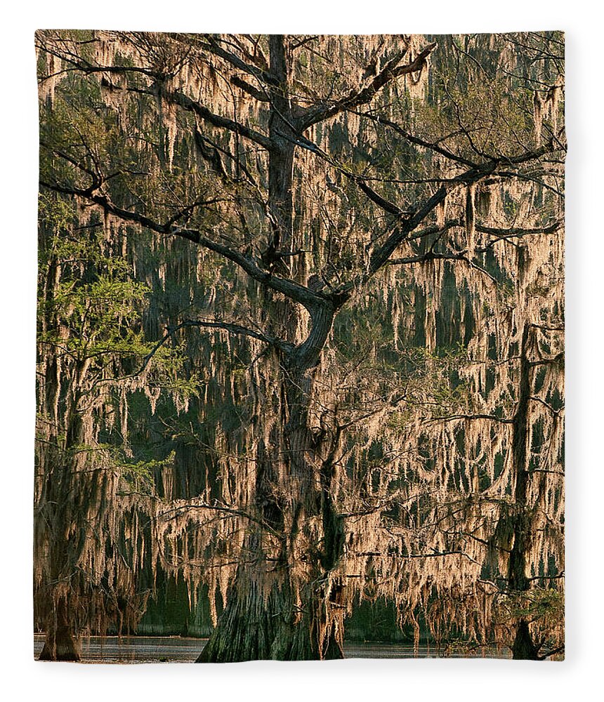 Dave Wellling Fleece Blanket featuring the photograph Moss Draped Cypress Caddo Lake Texa by Dave Welling