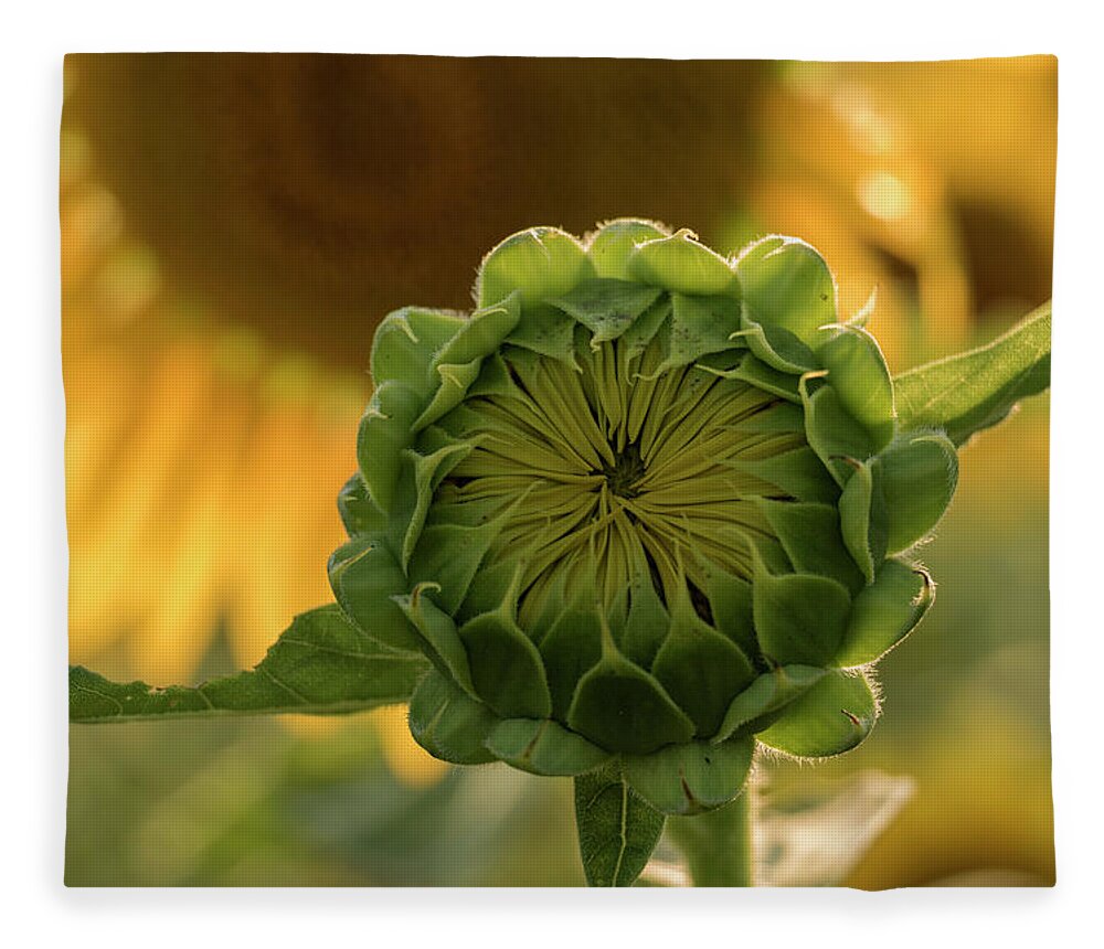 Sunflower Fleece Blanket featuring the photograph Mother and Child by Holly Ross