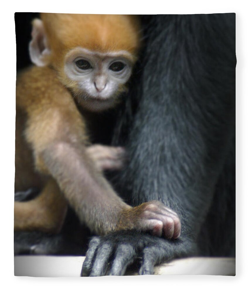 Baby Fleece Blanket featuring the photograph Motherhood - Primate by DArcy Evans