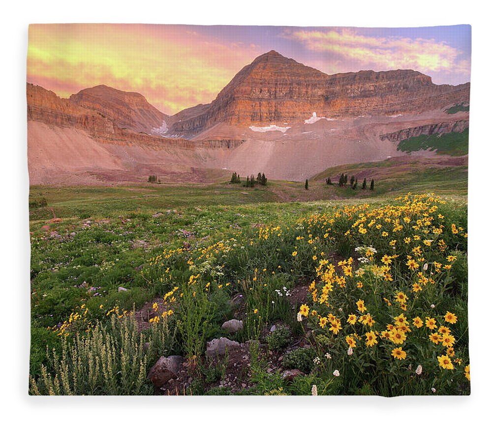 Utah Fleece Blanket featuring the photograph Mount Timpanogos Wildflower Sunset - Utah by Brett Pelletier