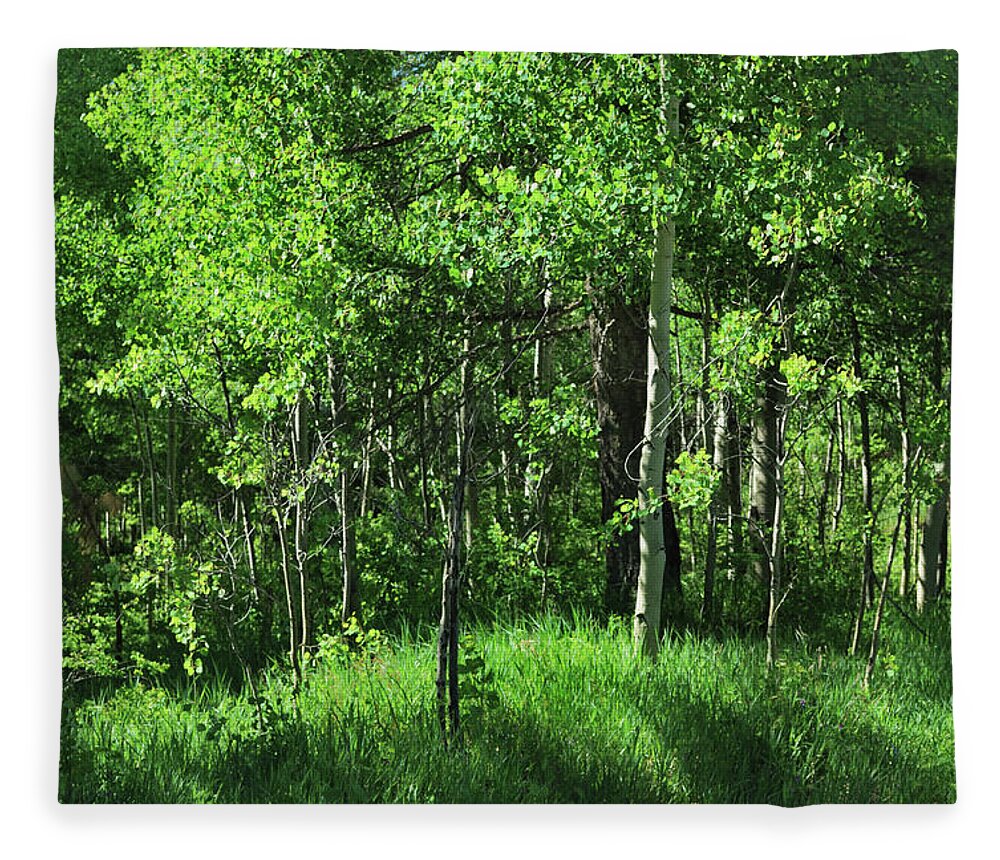 Trees Fleece Blanket featuring the photograph Mountain Greenery by Ron Cline