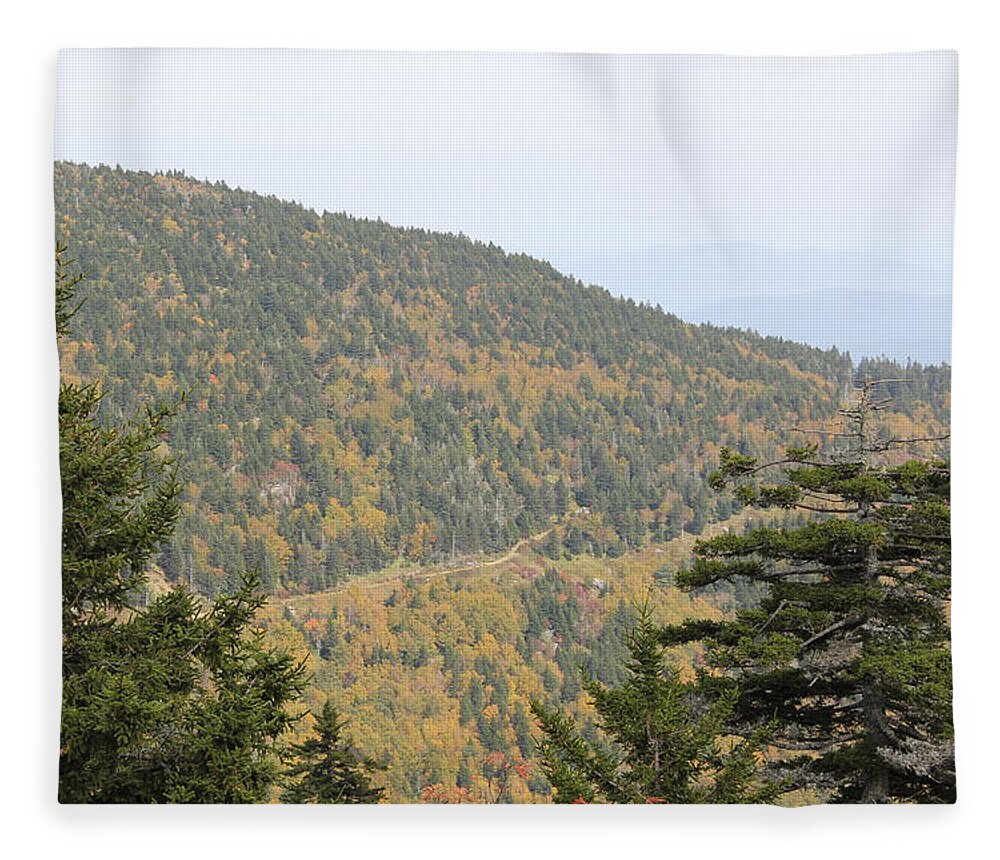 Path Fleece Blanket featuring the photograph Mountain Passage by Allen Nice-Webb