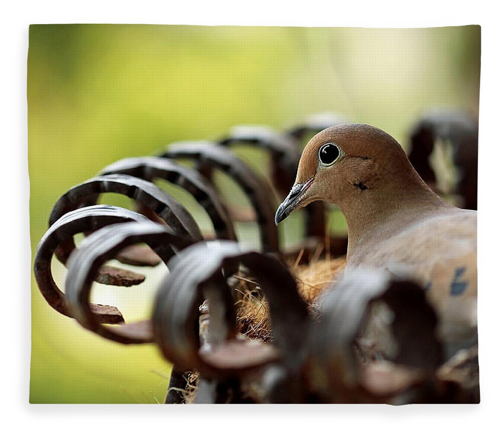 Mourning Dove Fleece Blanket featuring the photograph Mourning Dove In A Flower Planter by Debbie Oppermann