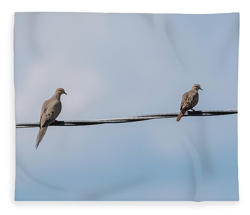 Mourning Doves Fleece Blanket featuring the photograph Mourning Doves by Holden The Moment