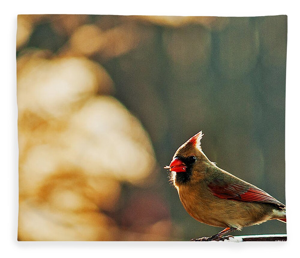 Northern Cardinal Fleece Blanket featuring the photograph Mouthful by Ed Peterson