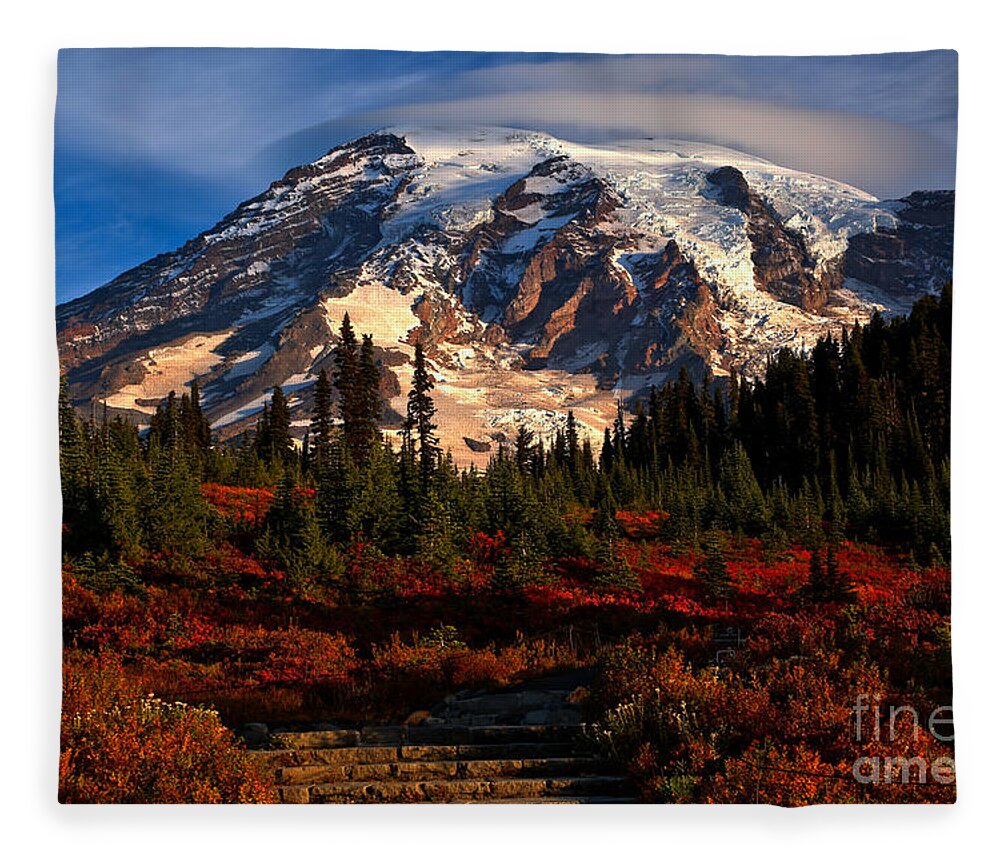 Mt Rainier National Park Fleece Blanket featuring the photograph Mt. Rainier Paradise Morning by Adam Jewell