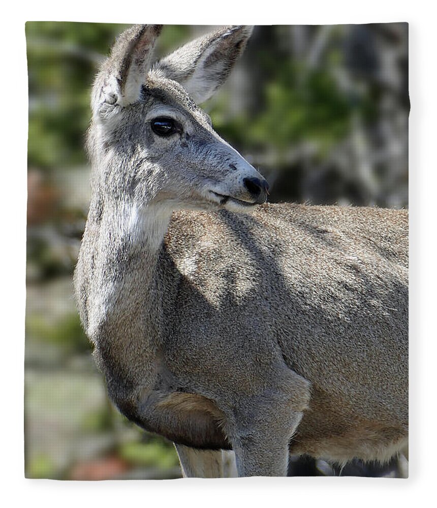 Mule Deer Fleece Blanket featuring the photograph Mule Deer 5 by JustJeffAz Photography