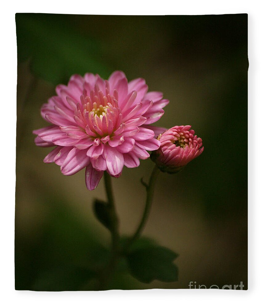 Flowers Fleece Blanket featuring the photograph Mums In The Garden Shadows by Dorothy Lee