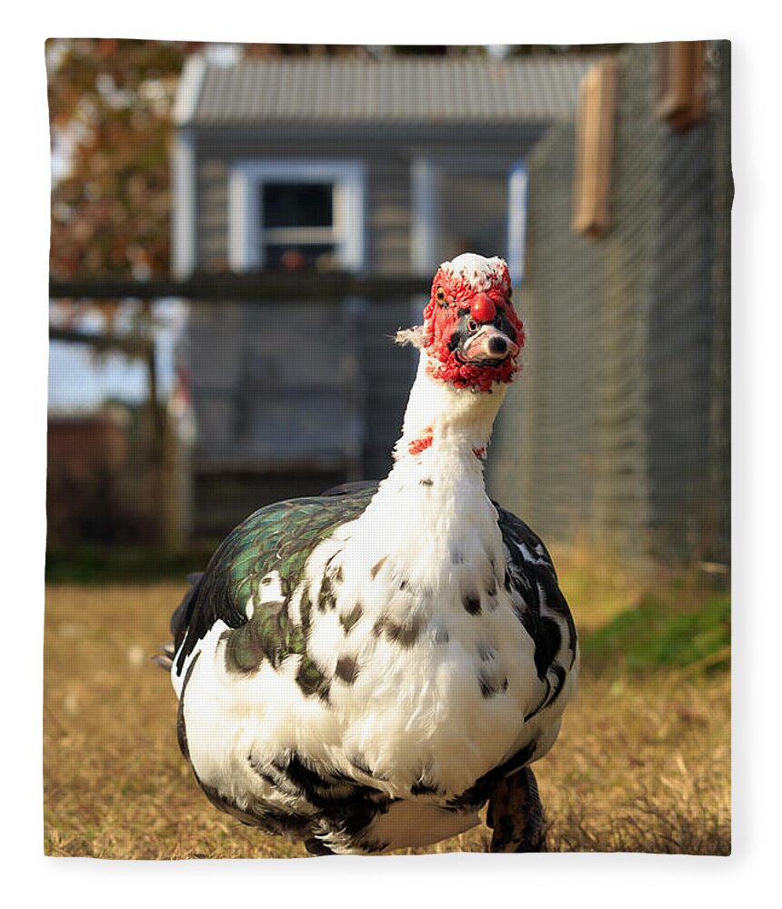 Muscovy Duck Fleece Blanket featuring the photograph Muscovy Duck by Travis Rogers