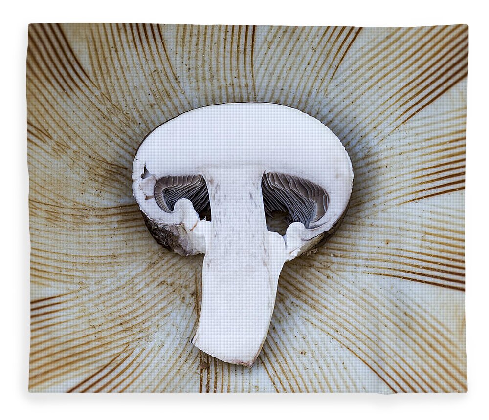 Mushroom Fleece Blanket featuring the photograph Mushroom in Suribachi by Shawn Jeffries