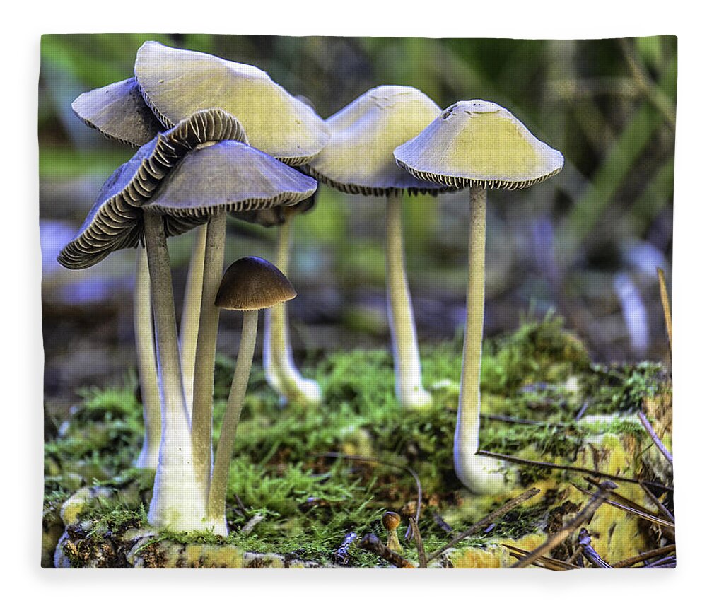 Nature Fleece Blanket featuring the photograph Family of Mushrooms by WAZgriffin Digital