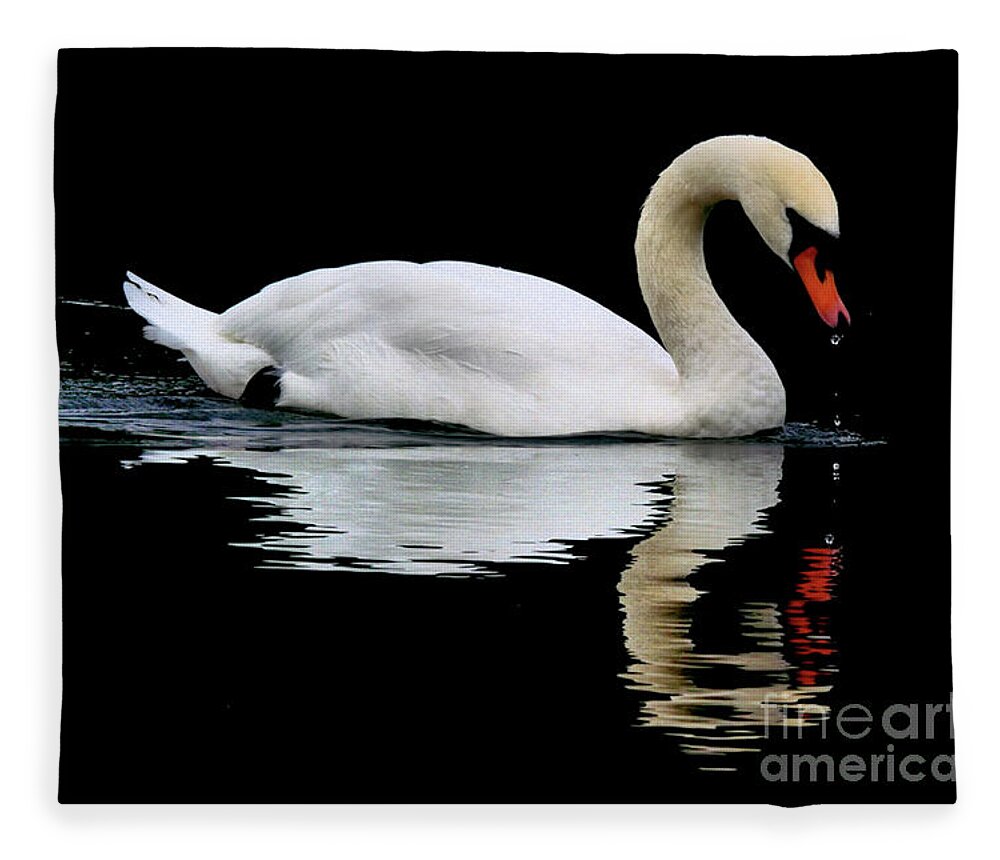 Swan Fleece Blanket featuring the photograph Mute Swan by Baggieoldboy