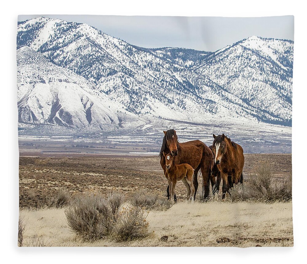 Mustangs Fleece Blanket featuring the photograph Nasl4227 by John T Humphrey