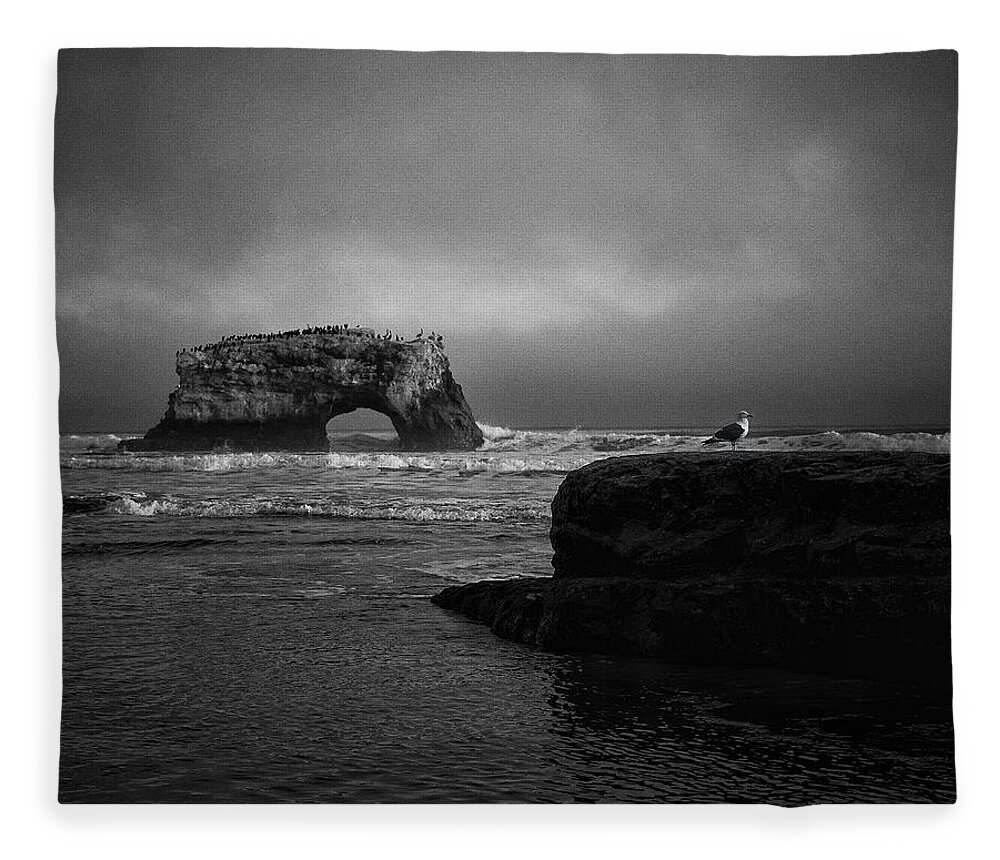 Landscape Fleece Blanket featuring the photograph Natural Bridge and the Gull by Lora Lee Chapman