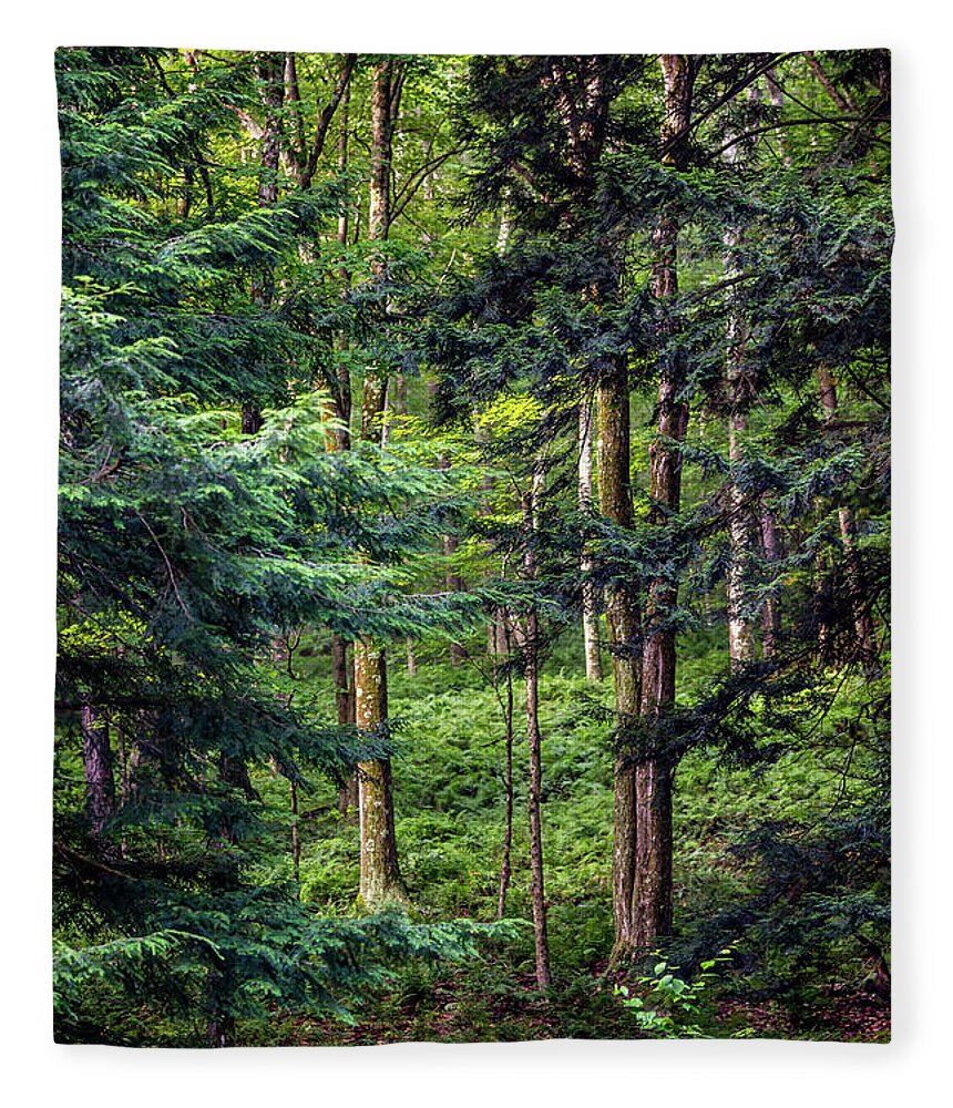 Tapestry Fleece Blanket featuring the photograph Natural Canvas by Gary Migues