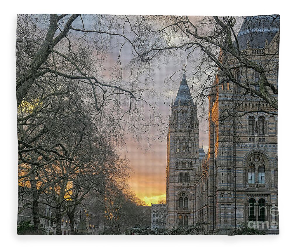 Great Britain Fleece Blanket featuring the photograph Natural History Museum in London by Patricia Hofmeester