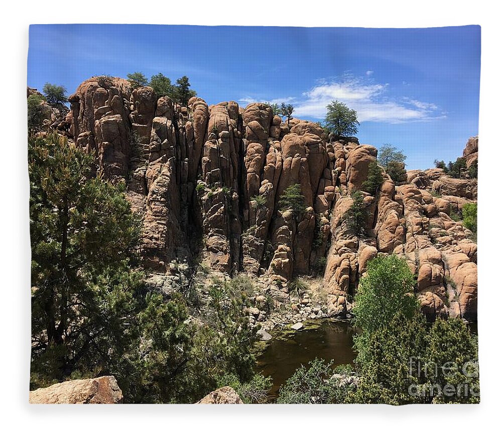 Rocks Fleece Blanket featuring the photograph Nature at Pevine by Pamela Henry