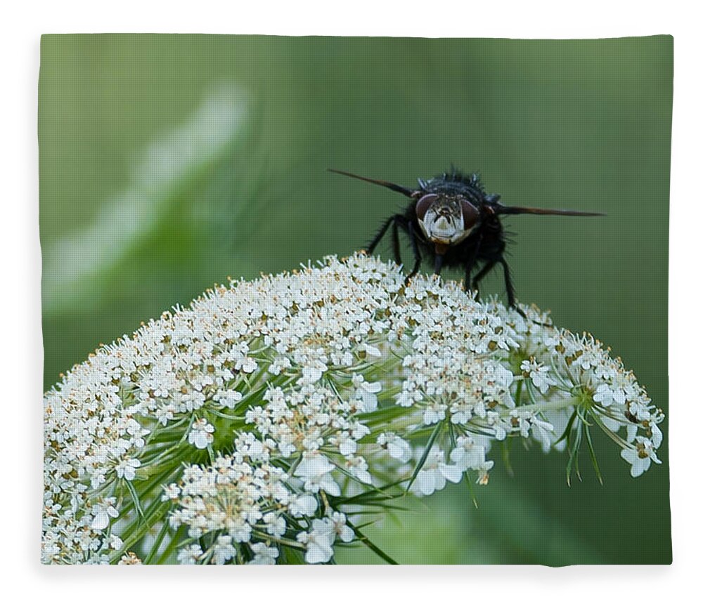 Plant Fleece Blanket featuring the photograph Nature Up Close by Holden The Moment