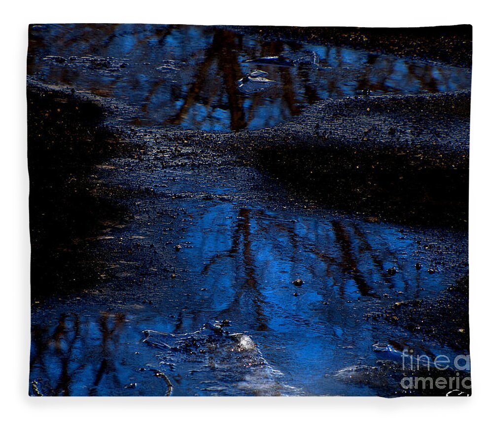 Blue Fleece Blanket featuring the photograph Natures Looking Glass by September Stone