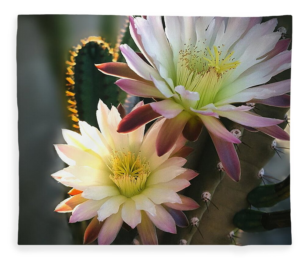 Night-blooming Cactus Fleece Blanket featuring the photograph Night-Blooming Cereus 3 by Marilyn Smith