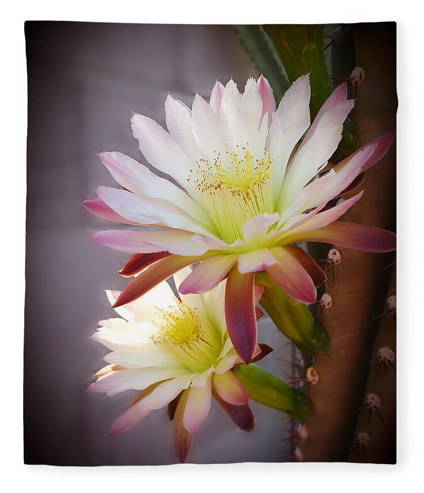 Night-blooming Cactus Fleece Blanket featuring the photograph Night Blooming Cereus by Marilyn Smith