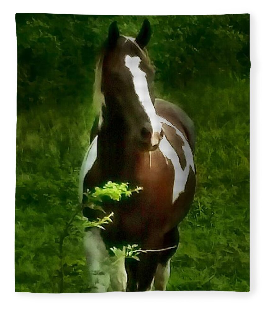 Horse Fleece Blanket featuring the photograph No Name Horse by Dani McEvoy