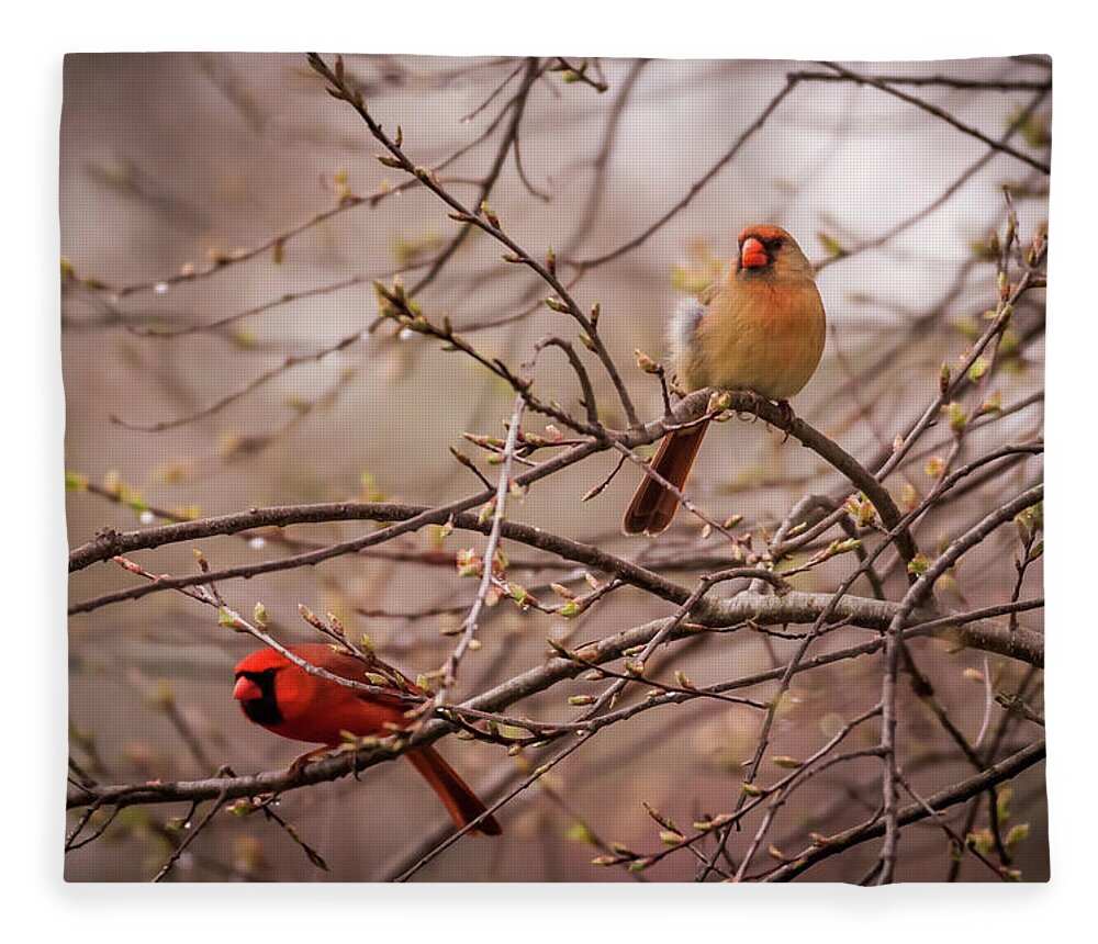 Terry D Photography Fleece Blanket featuring the photograph Northern Cardinal Pair in Spring by Terry DeLuco