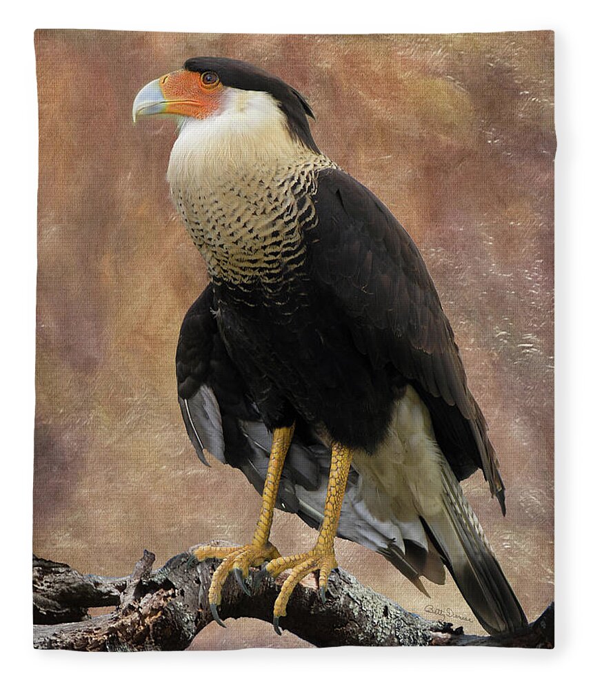 Birds Fleece Blanket featuring the photograph Northern Crested Caracara at Sunset by Betty Denise