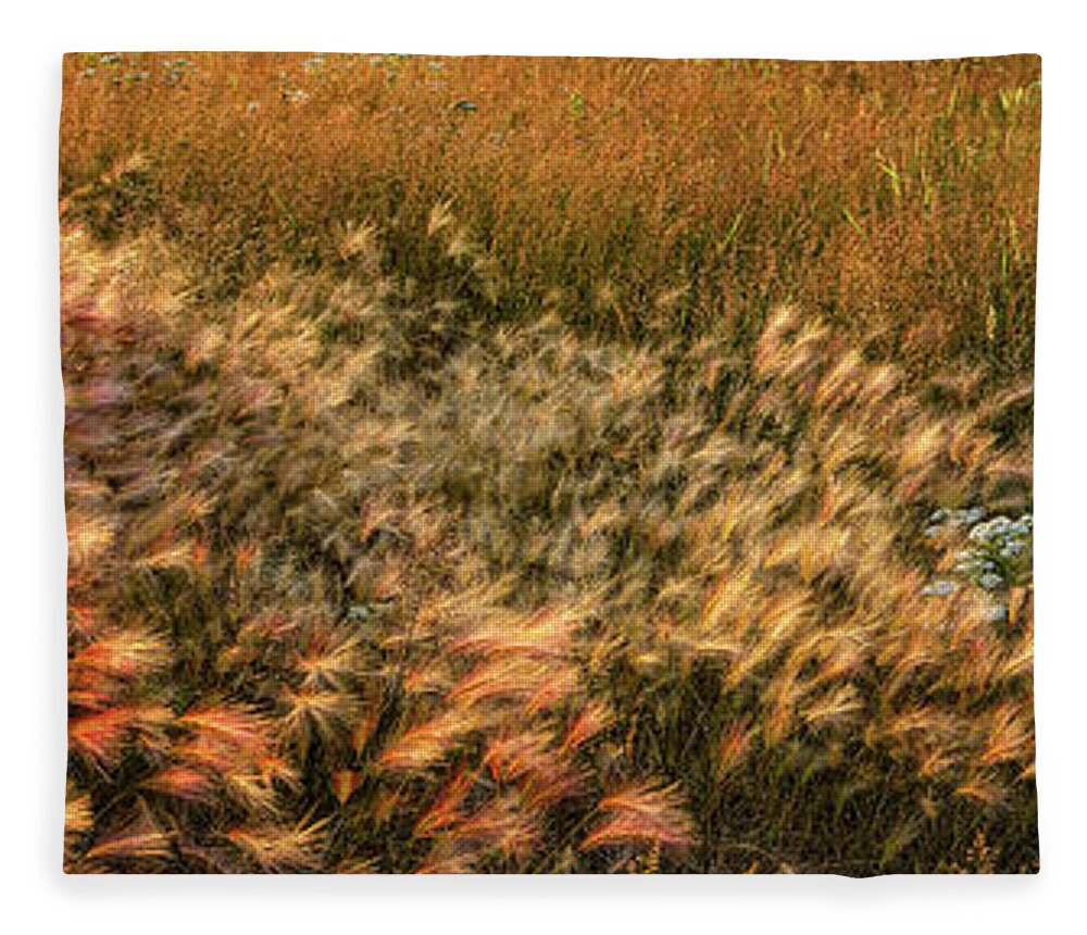 Panorama Fleece Blanket featuring the photograph Northern Summer by Doug Gibbons