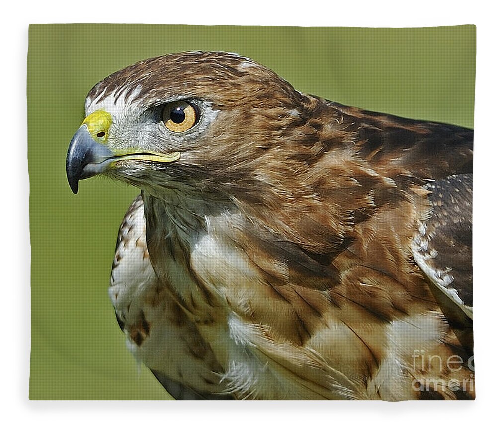 Parc Omega Fleece Blanket featuring the photograph Not chicken this Hawk... by Nina Stavlund