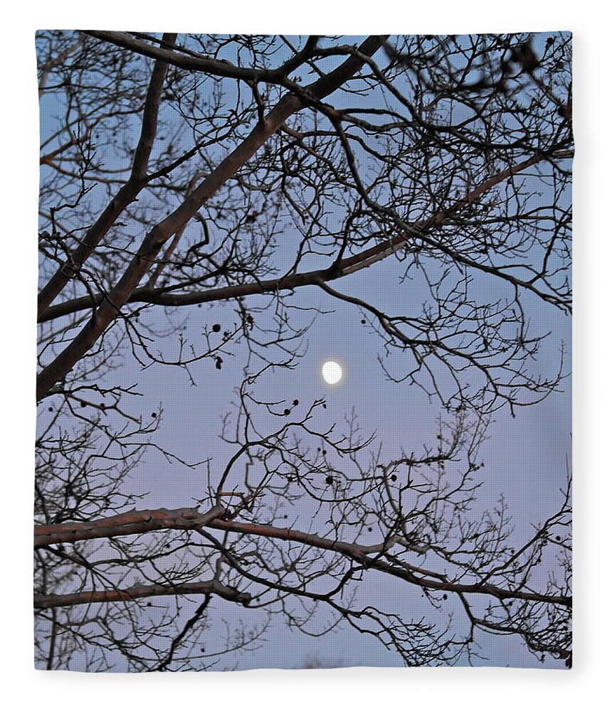 November Fleece Blanket featuring the photograph November Moon by Michele Myers