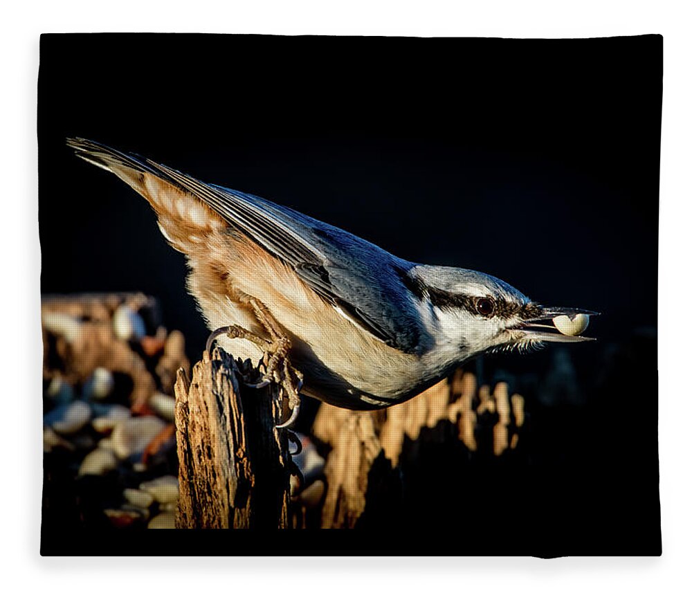 Nuthatch's Nut Fleece Blanket featuring the photograph Nuthatch with a nut in the beak by Torbjorn Swenelius