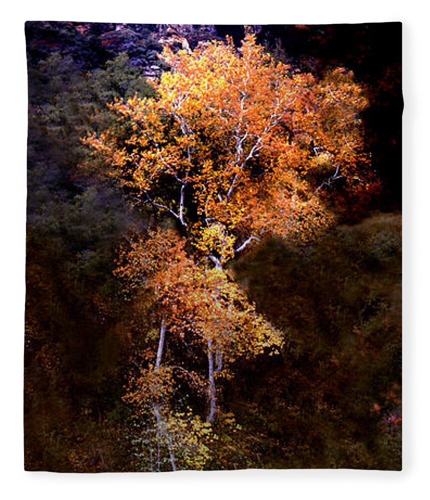 Oak Creek Canyon. Sedona . Flagstaff Fleece Blanket featuring the photograph Oak Creek Canyon by Joe Hoover