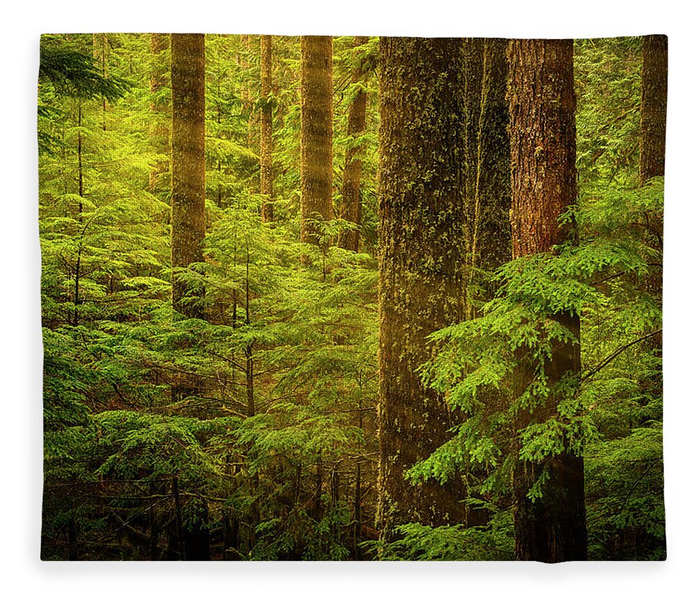 Forest Fleece Blanket featuring the photograph Of Elves and Faeries by Dan Mihai