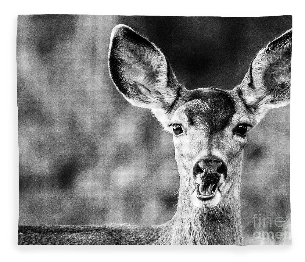 Wildlife Fleece Blanket featuring the photograph Oh, Deer, Black and White by Adam Morsa