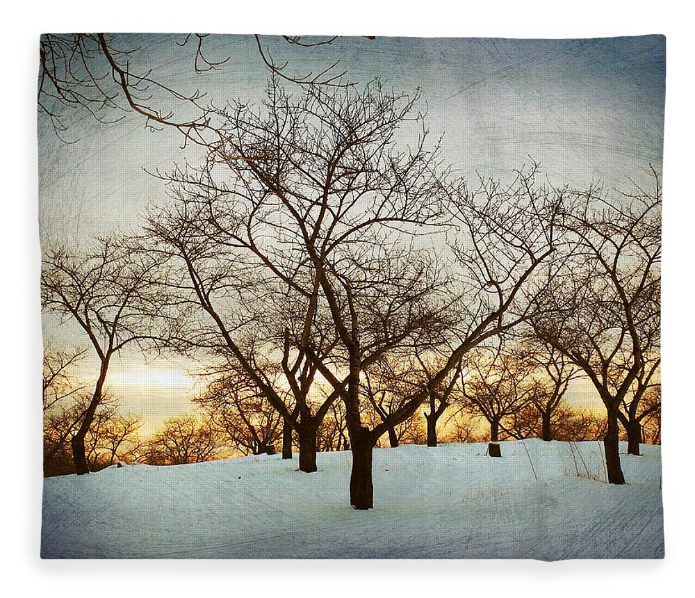 Old Cherry Orchard Fleece Blanket featuring the photograph Old Cherry Orchard by David T Wilkinson
