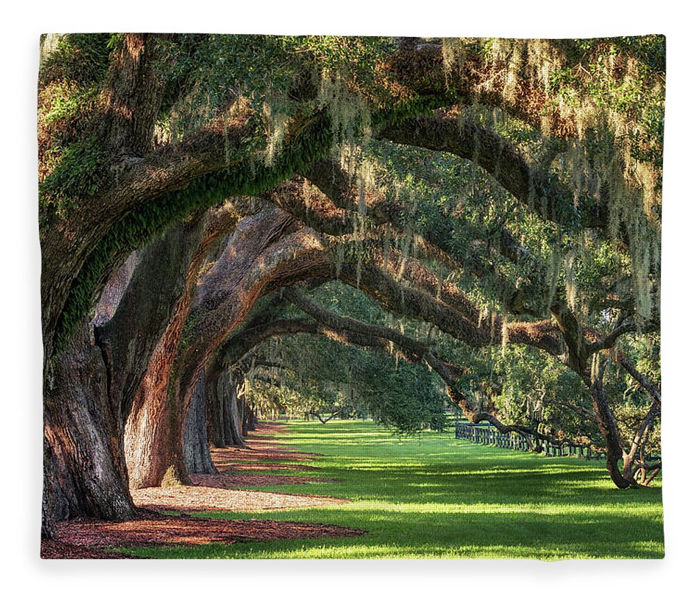 Arch Fleece Blanket featuring the photograph Old Oaks by Alex Mironyuk