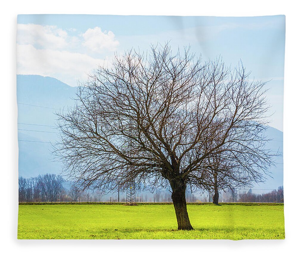 Dubino Fleece Blanket featuring the photograph Old Tree by Pavel Melnikov