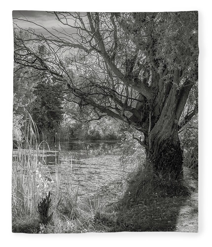 24-105 F/4 Is L Fleece Blanket featuring the photograph Old Willow by Mark Mille