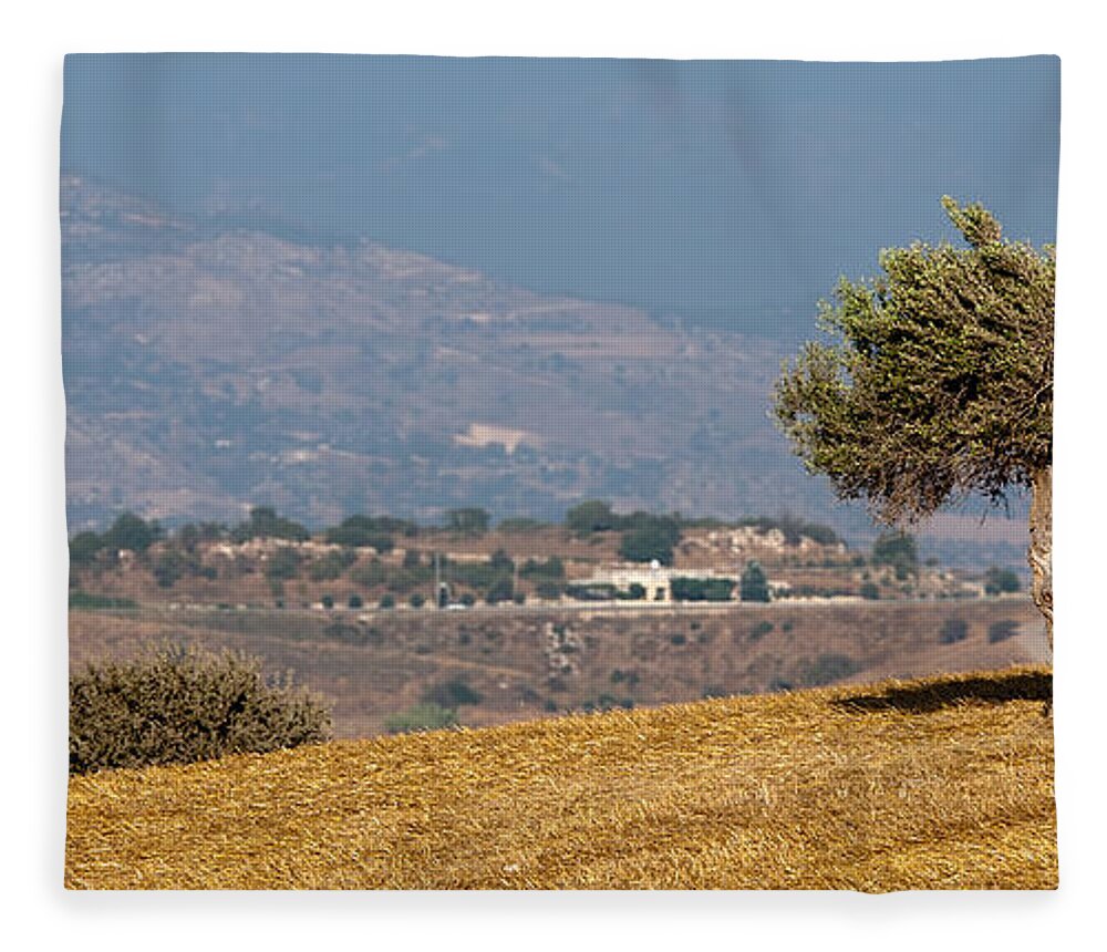 Tree Fleece Blanket featuring the photograph Olive tree on a wheat field by Michalakis Ppalis