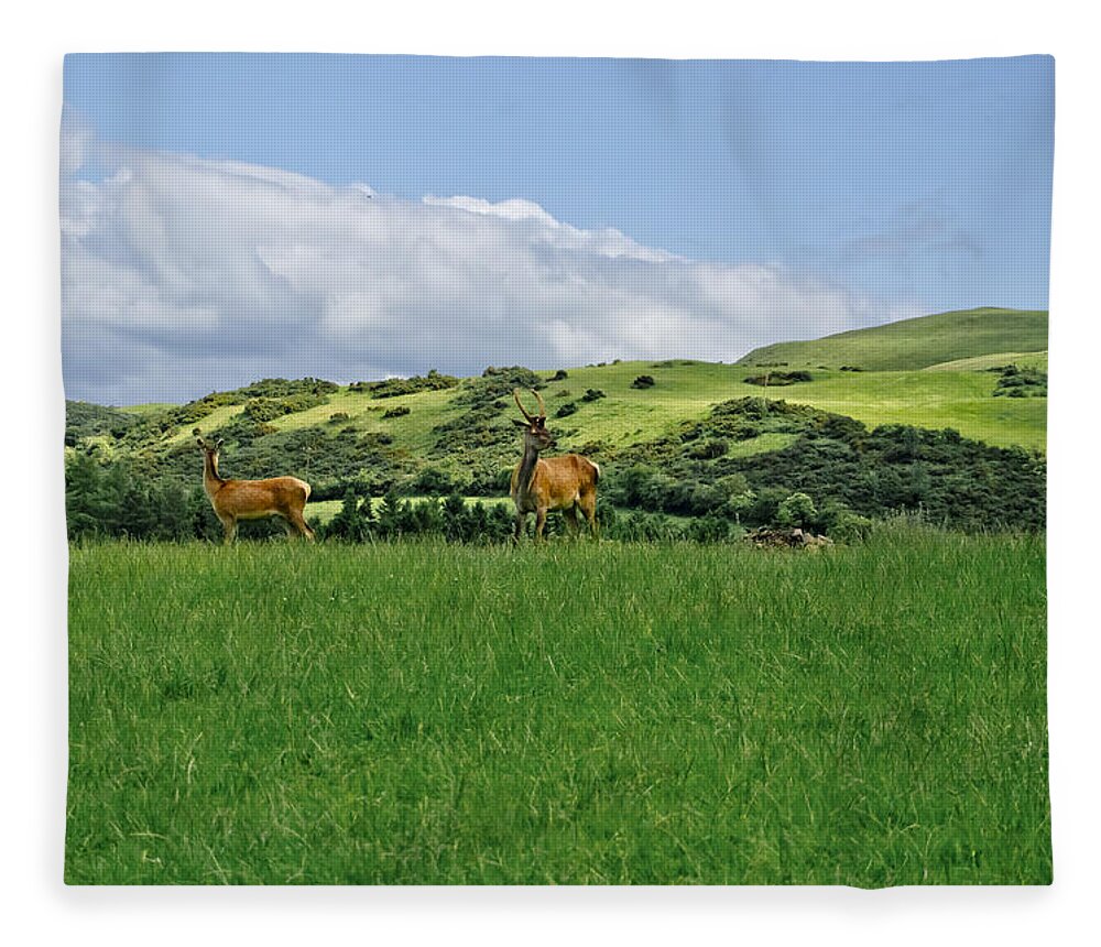 Beecraigs Fleece Blanket featuring the photograph On the look-out. by Elena Perelman