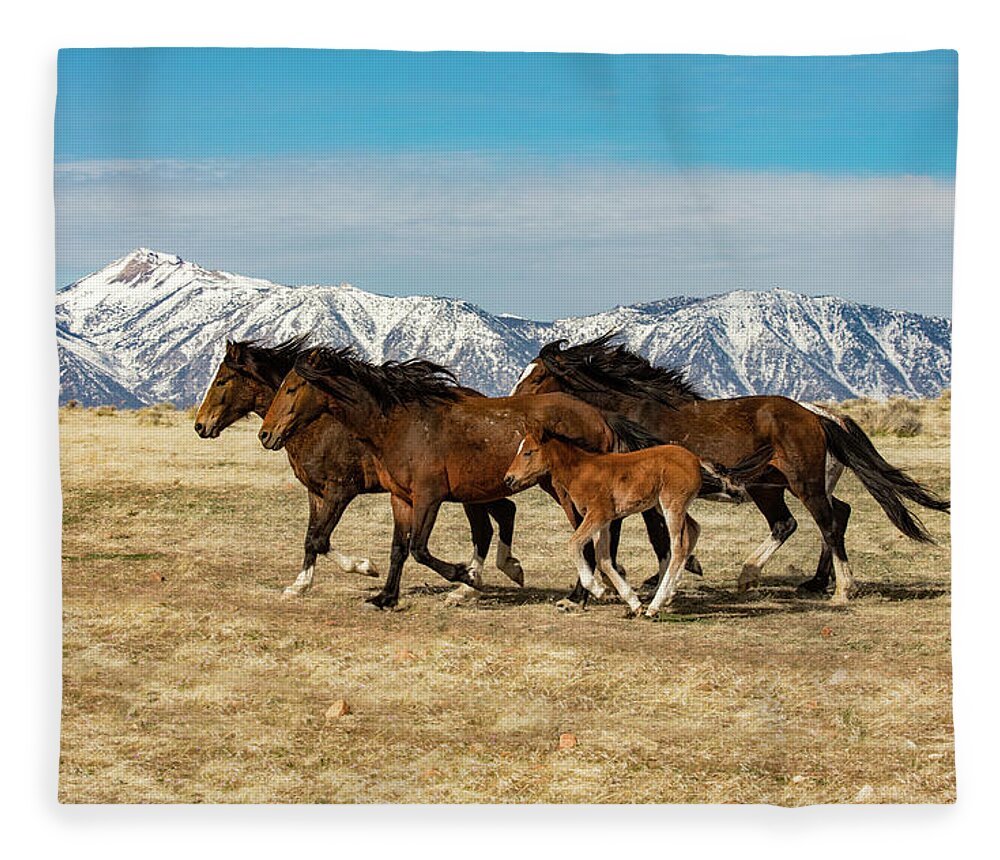 _z3a0367 Fleece Blanket featuring the photograph On the run by John T Humphrey