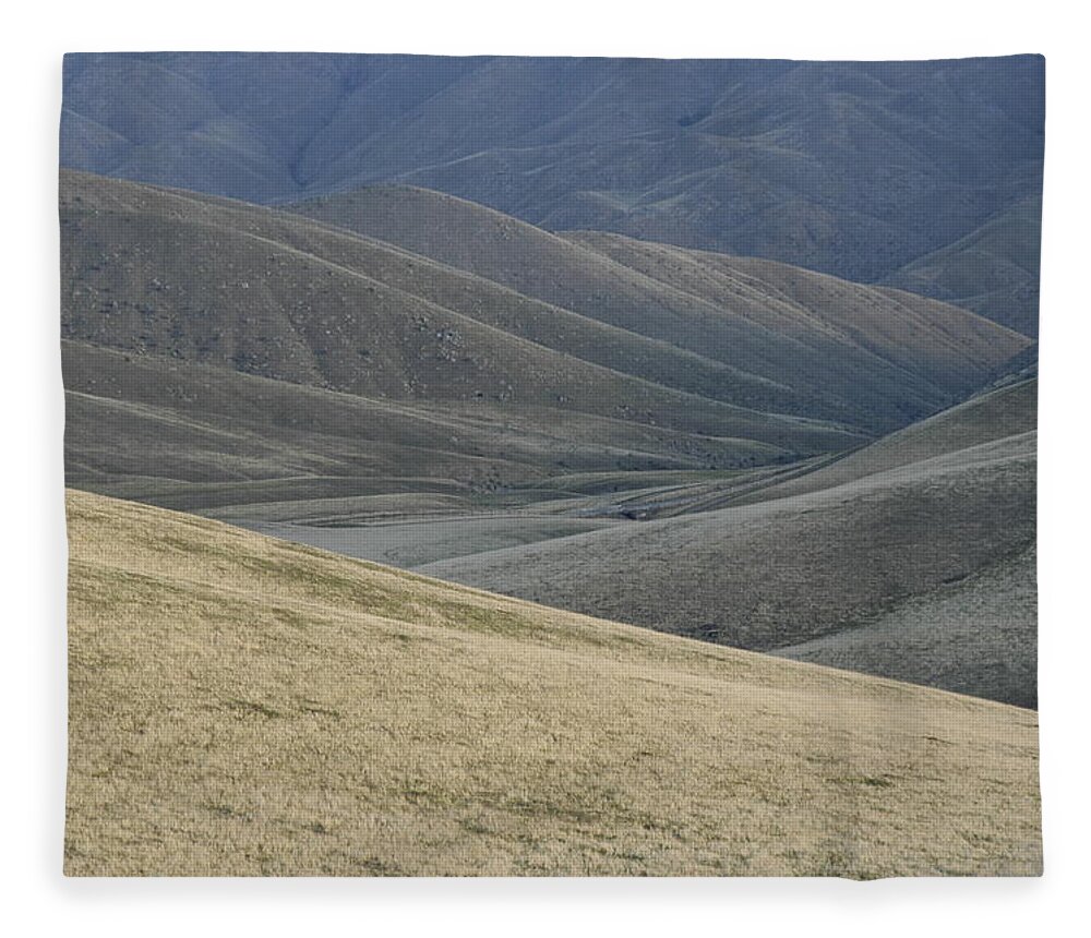California Fleece Blanket featuring the photograph On The Way To Bakersfield by DArcy Evans