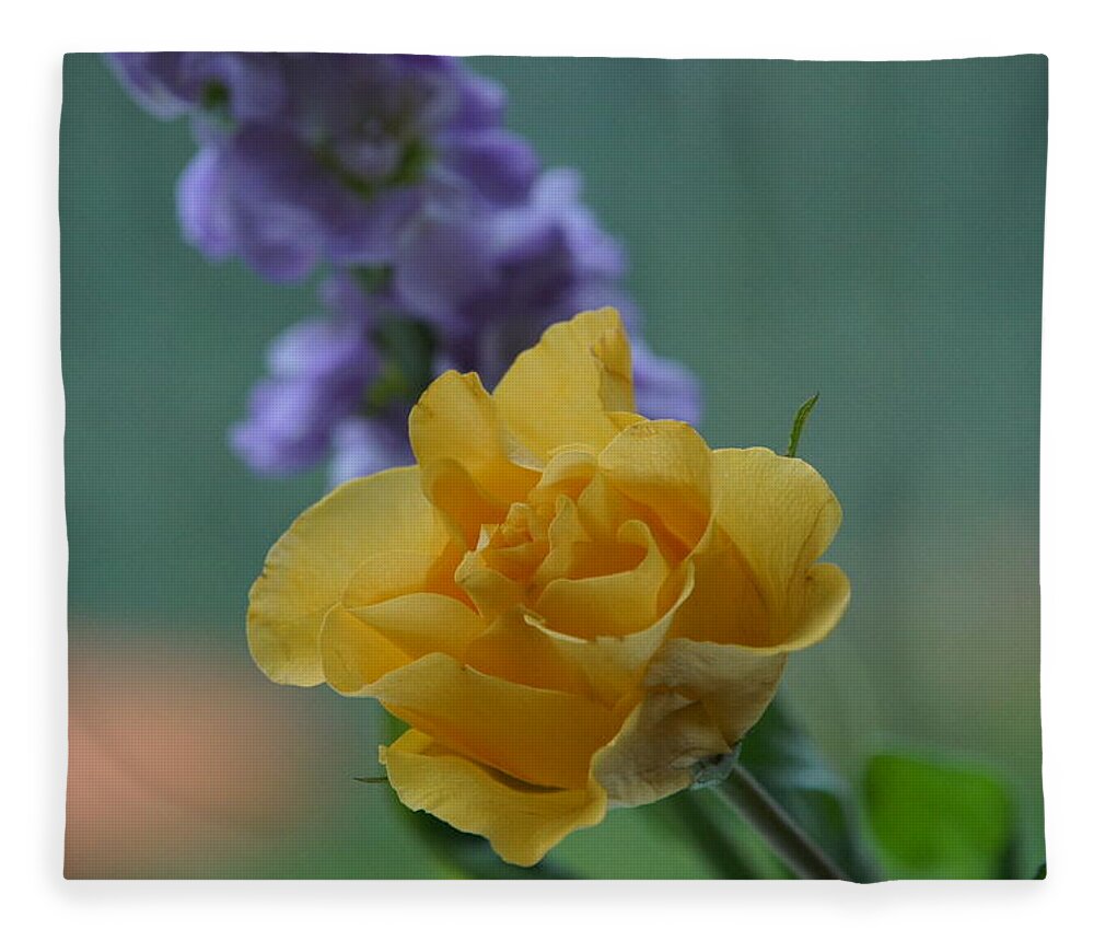 Floral Fleece Blanket featuring the photograph On the window sill. by Elena Perelman
