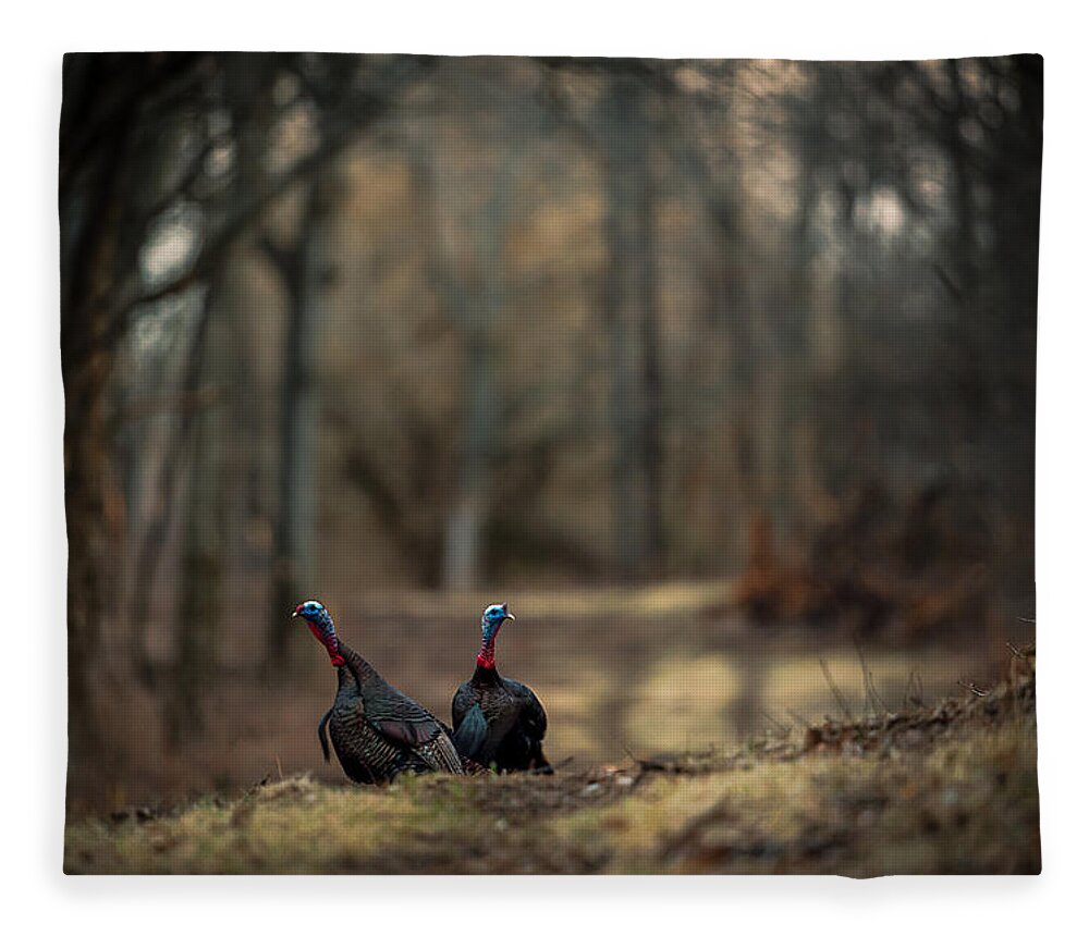 Wildlife Fleece Blanket featuring the photograph On the Woodlot Path by Jeff Phillippi