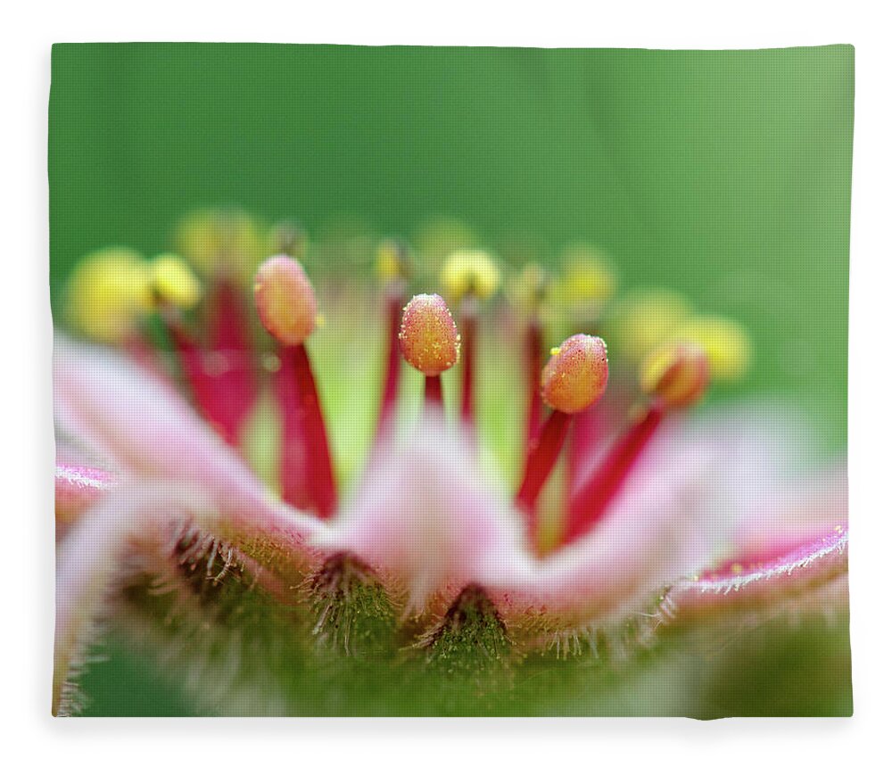  #floral #flower #stamen #nature #succulent Fleece Blanket featuring the photograph One day she realized.. by Sandra Parlow