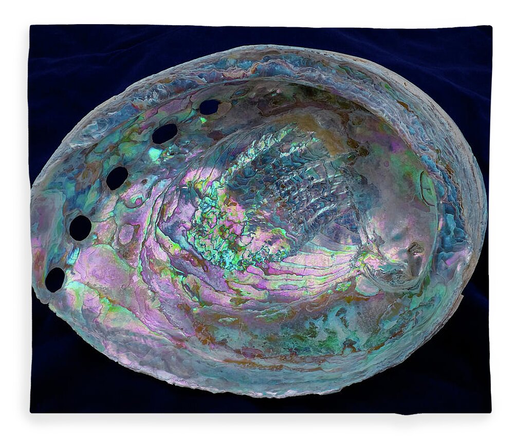 Abalone Fleece Blanket featuring the photograph Opalescent Abalone Seashell on Blue Velvet by Kathy Anselmo